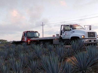 WhatsApp Image 2023-10-05 at 6.12.31 PM